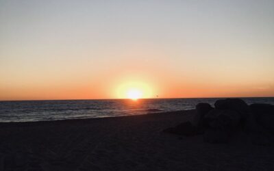 Bliss is gratitude